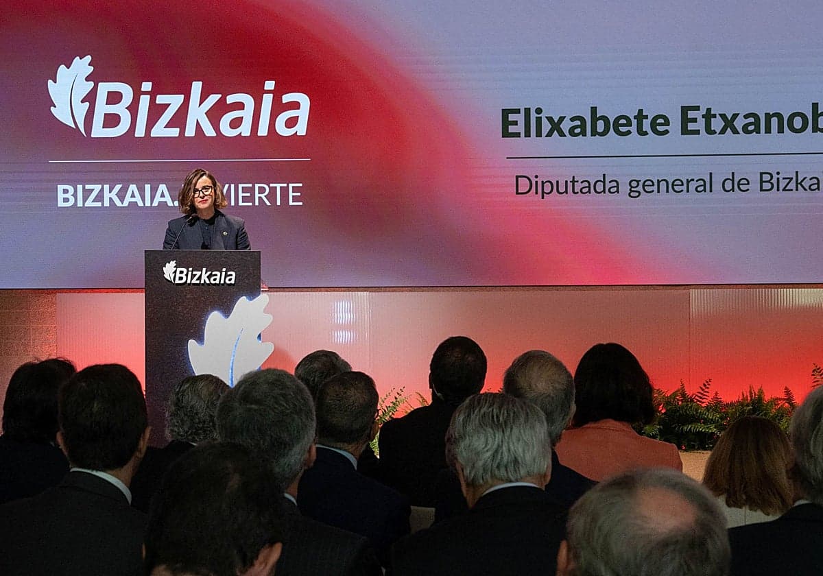 El Gobierno foral aprueba dividido la reforma fiscal de Bizkaia