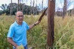 Los propietarios forestales temen otro verano infernal: "No se ha hecho nada de prevención desde los incendios del año pasado"