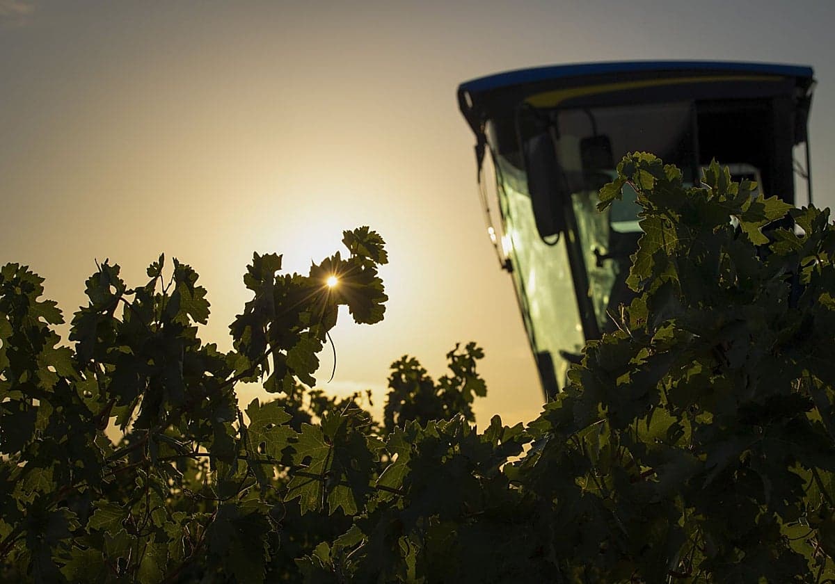 BBVA gana terreno en el negocio rural y aumenta un 84% las operaciones con pymes en un año