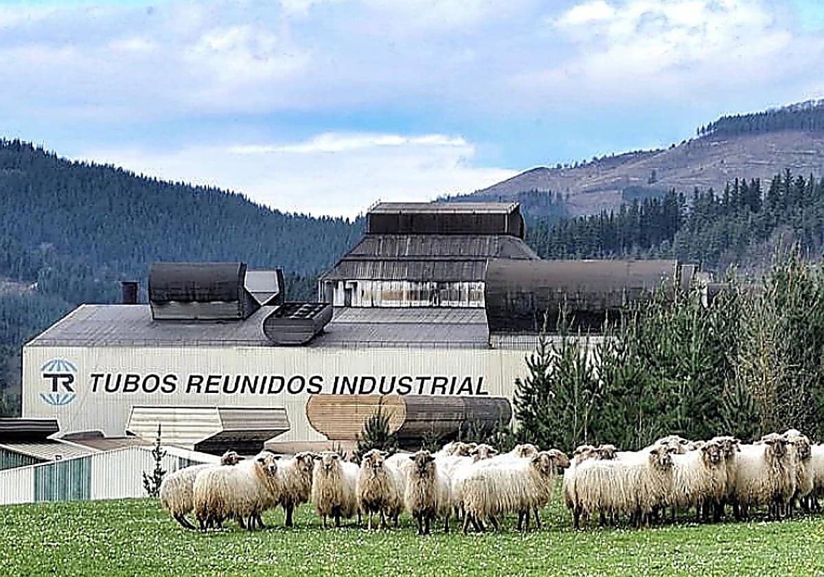 Las primeras ofertas formales por Tubos Reunidos no se recibirán hasta el 15 septiembre