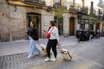 Airbnb y el alquiler vacacional no se dan por aludidos con la nueva regulación europea y creen que frenará prohibiciones masivas como en Barcelona