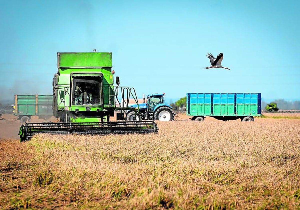 El campo español estalla y anuncia movilizaciones por la subida «inasumible» del combustible