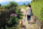 Ya ha entrado en vigor: estos son los 90 ayuntamientos que solicitan un registro del ADN obligatorio de las mascotas en España