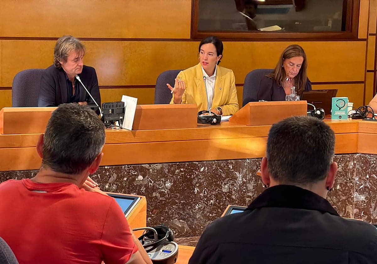 El PNV se queda solo en la defensa de la reforma fiscal de Bizkaia