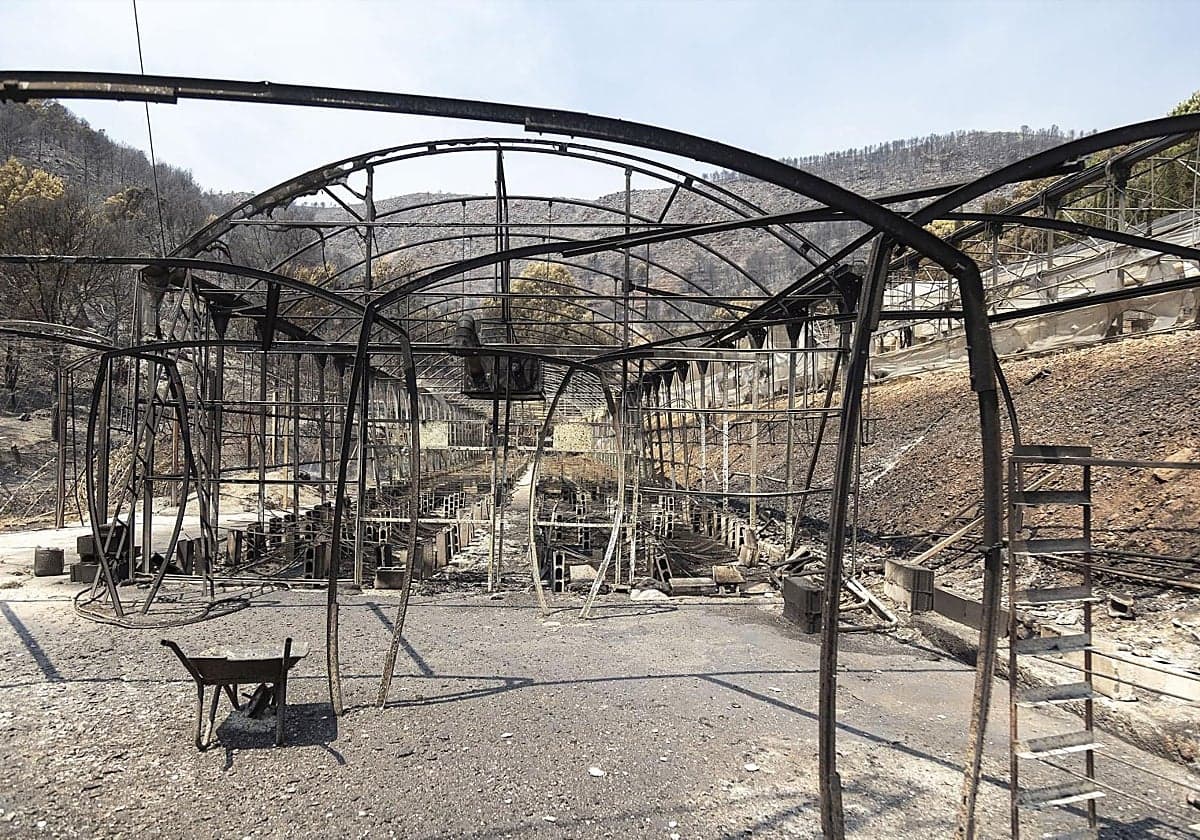 Los autónomos podrán acogerse a un cese de actividad extraordinario por los incendios