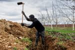 Los inmigrantes aceleran su conquista del mercado laboral en plena regularización: su empleo crece cuatro veces más que el total y ya ocupan el 15% de los puestos